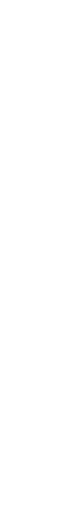 Die Bauleute